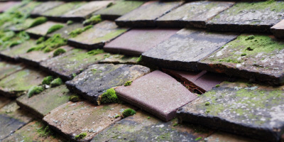 Llantilio Crossenny roof repair costs